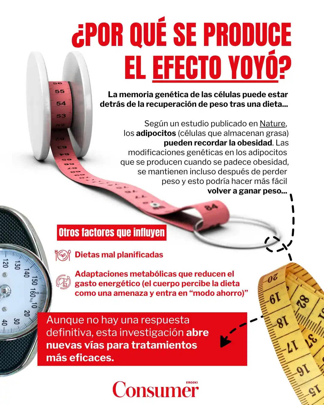 Image from Consumer: 🪀🪝 ¿Atrapad@ en el efecto yoyó? 🎢 Subes y bajas de peso constantem...