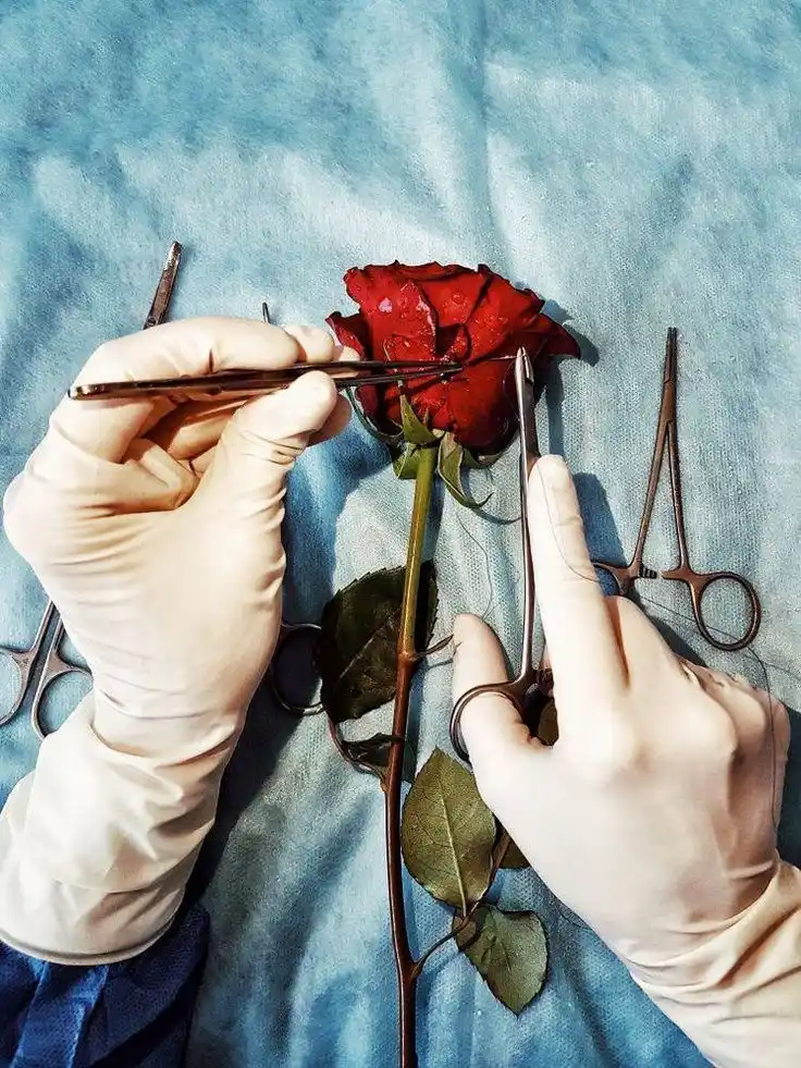 Image from Doctor Ekhlas 👸🏻🥼🫀: اين جهان كوه است و فعل ما ندا سوي ما آيد نداها را صدا فعل تو كان زاي...