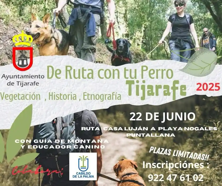 Image from Ayuntamiento de Tijarafe: 🐾 BIENESTAR ANIMAL | DE RUTA CON TU PERRO 🐶 Ruta Casa Luján-Playa N...