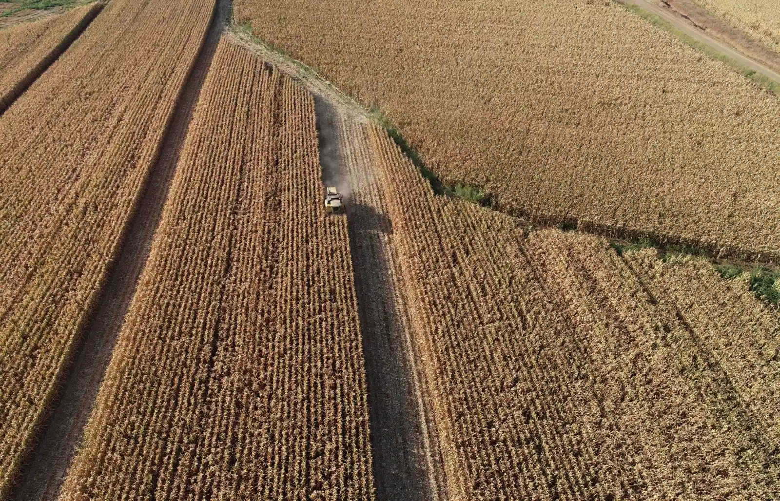 Image from AA Yeşilhat: ⚠️Çölleşme nedeniyle her yıl yaklaşık 1 milyon kilometrekare sağlıklı ...