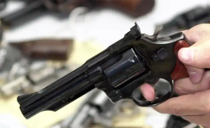 Image from Jornal Extra Alagoas: *Comissão aprova permissão para morador da zona rural ter arma aos 18 ...