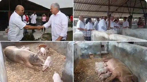 Image from Partido Comunista de Cuba: Dr. Roberto Morales Ojeda (DrRobertoMOjeda) en X El último municipio ...