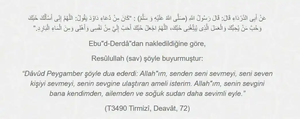 Image from Risale-i Nur: 📖 Ebû’d-Derdâ’dan (r.a) nakledildiğine göre, Resûlullah ﷺ şöyle buyu...