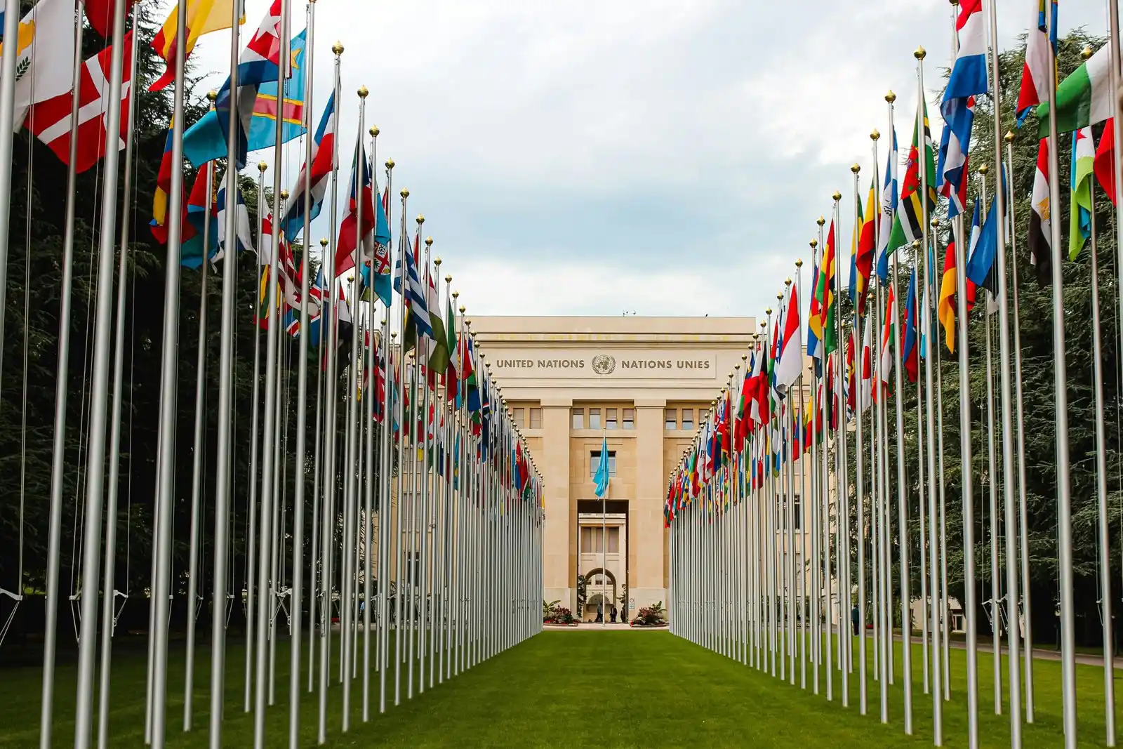 Image from Je Travel ✈️ | 🌍 Vivre, 🎓 Étudier, 👷♂️ Travailler & ✈️ Voyager à Moindre Coût 💸 |: *Explorez 20 plateformes de formation gratuites des Nations Unies* 🌍...