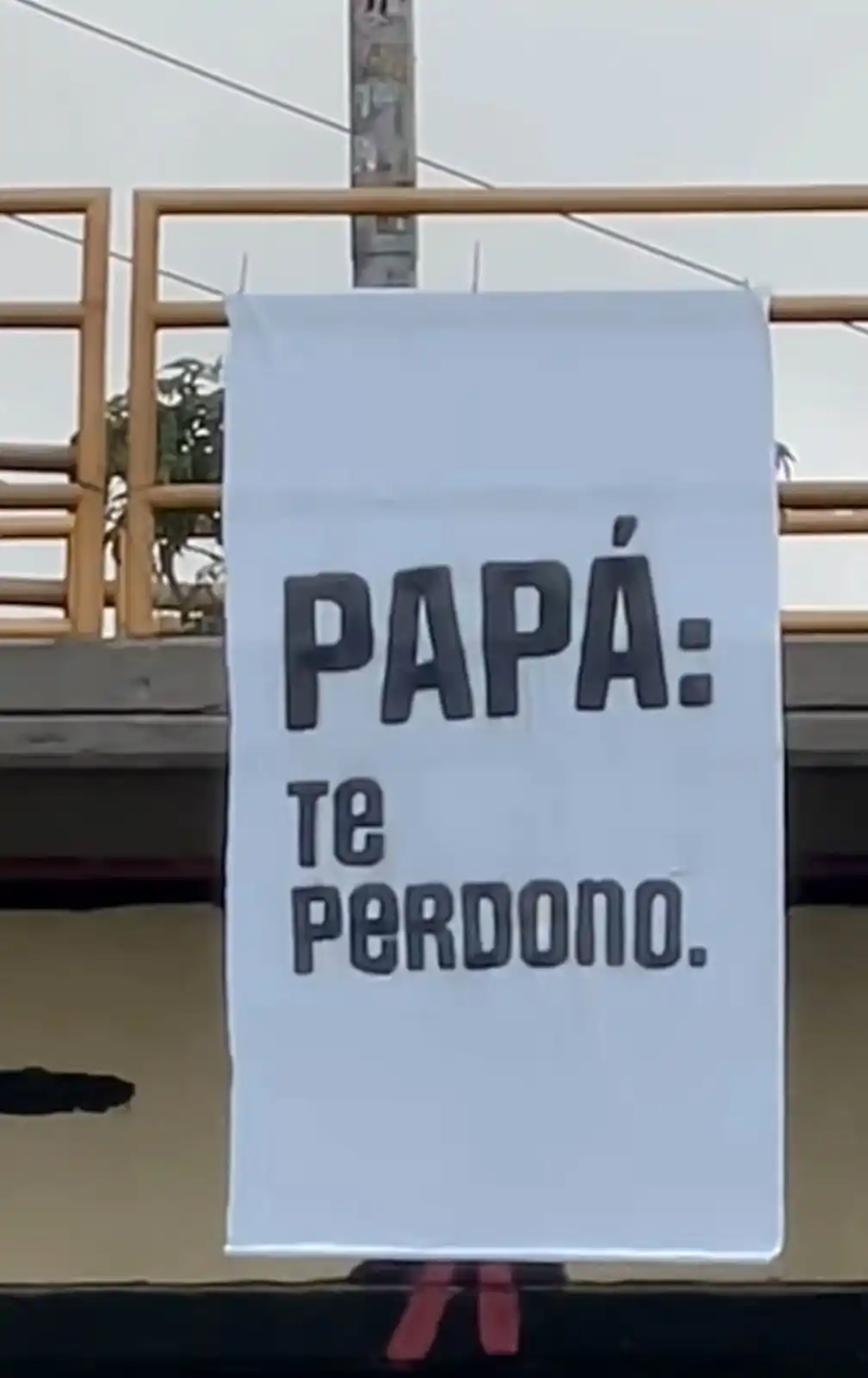 Image from Samuel Beleño: Hoy cuando me levante lo primero que vi fue un video de unos coletos c...