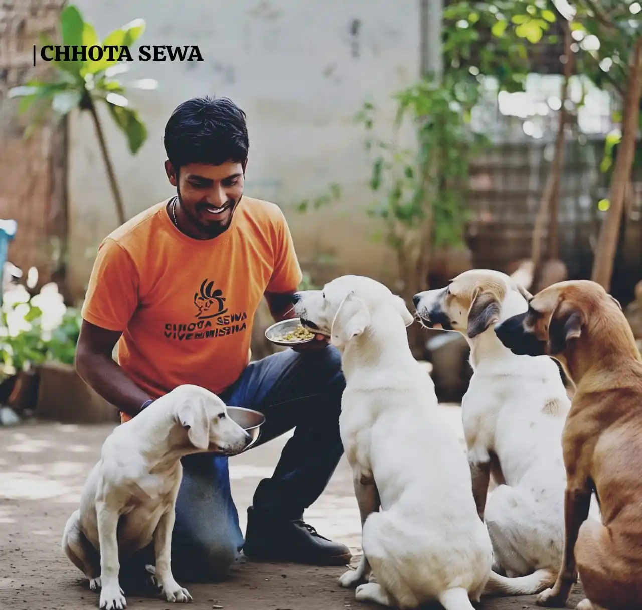 Chhota Sewa Foundation post
