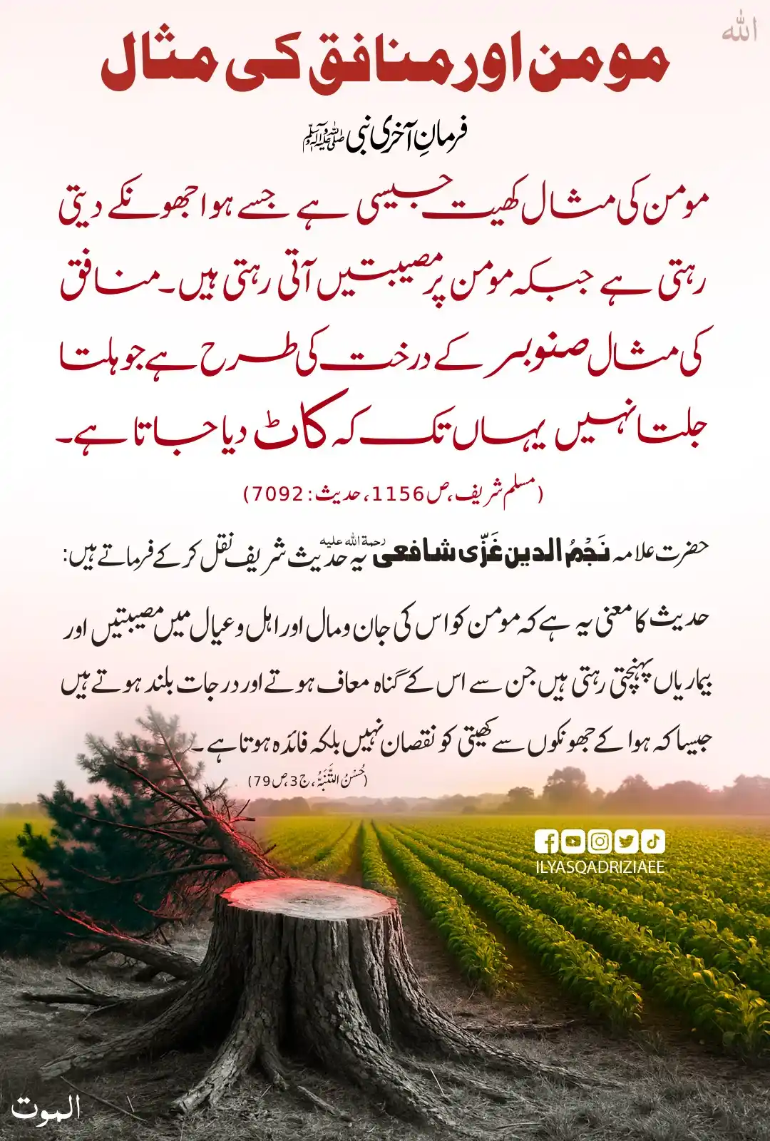 Image from علم القرءان والحدیث: *مومن اور منافق میں فرق*...
