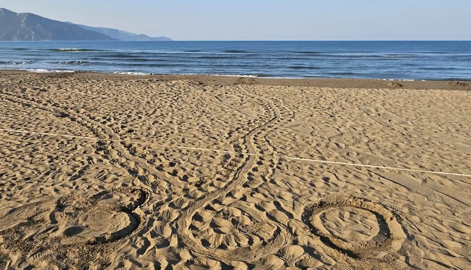 Image from AA Yeşilhat: 🐢Muğla'da İztuzu Plajı'ndaki caretta caretta yuvalarının sayısı 300'e...
