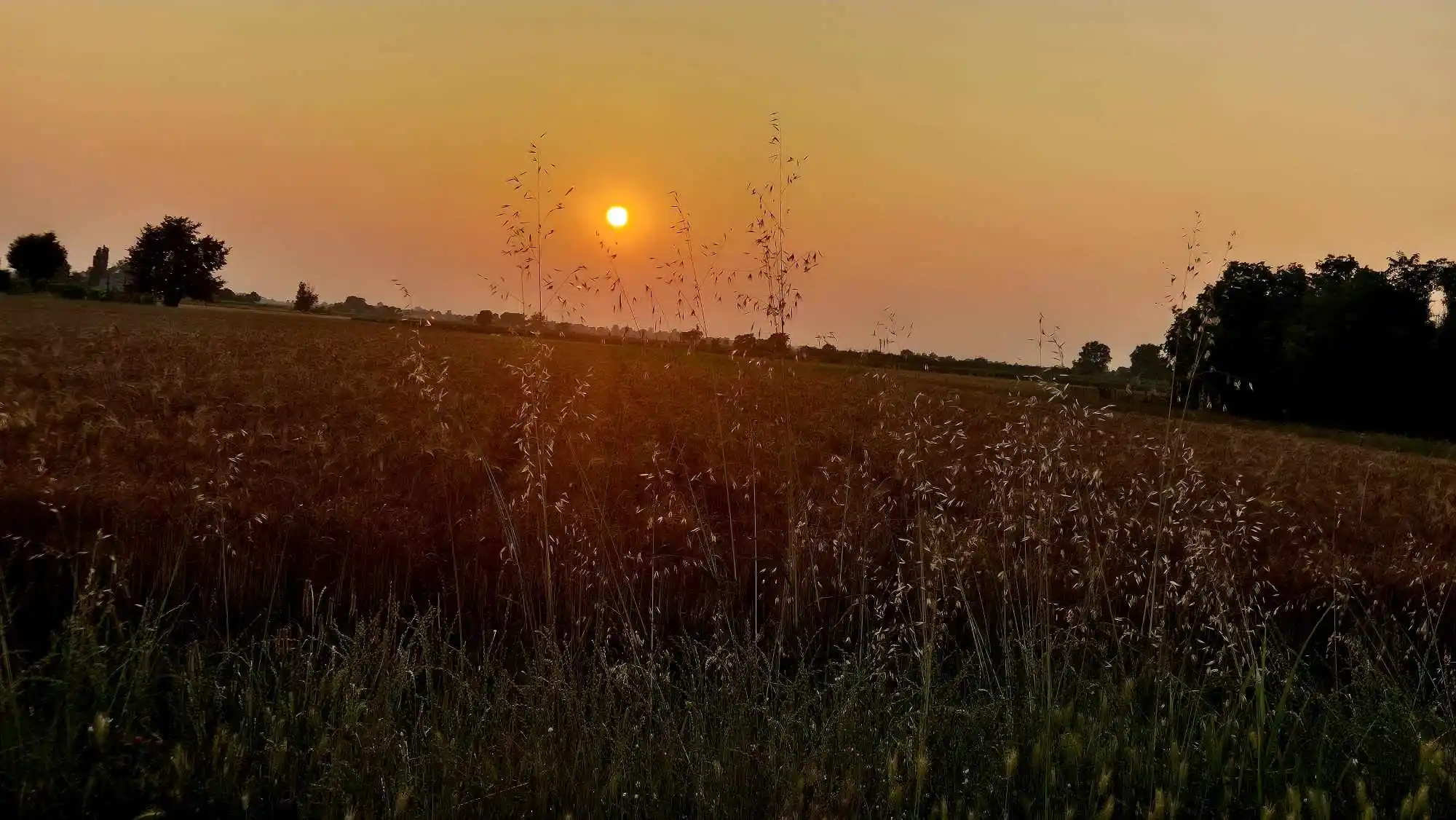 Image from Emilia Romagna Meteo: Notte tropicale nella nostra regione. Valori minimi altissimi, ricordi...