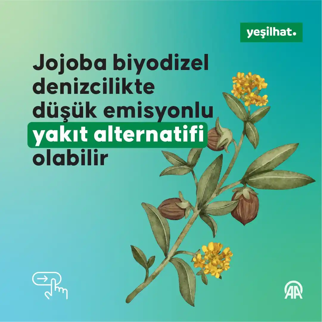 Image from AA Yeşilhat: 💨%59 daha az karbondioksit ⛽%57 daha az hidrokarbon ♨%33 daha az karb...