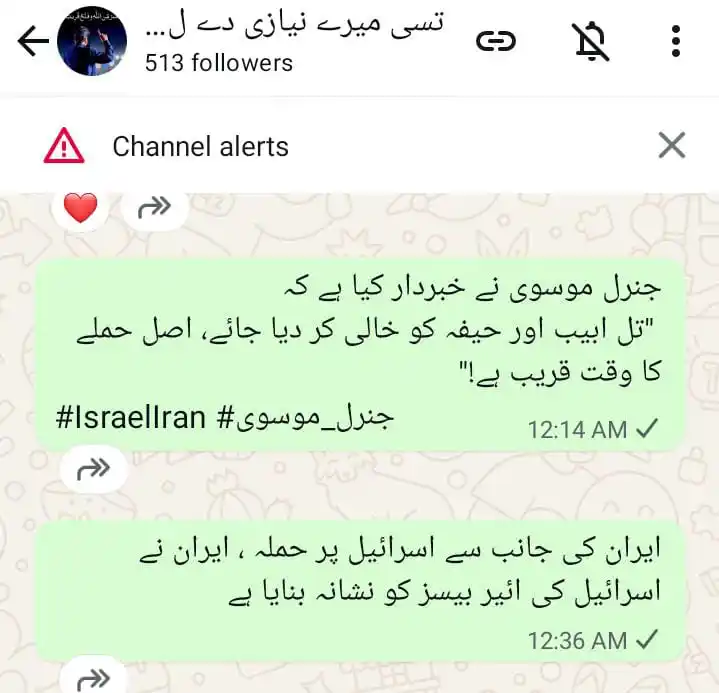 Image from تسی میرے نیازی دے لیول دے نئی او شوریو ✌️: *پتا نہیں یہ چینل الرٹ کیا ہے اب مجھے تو لگتا ہے* *میرے چینل کو اسر...