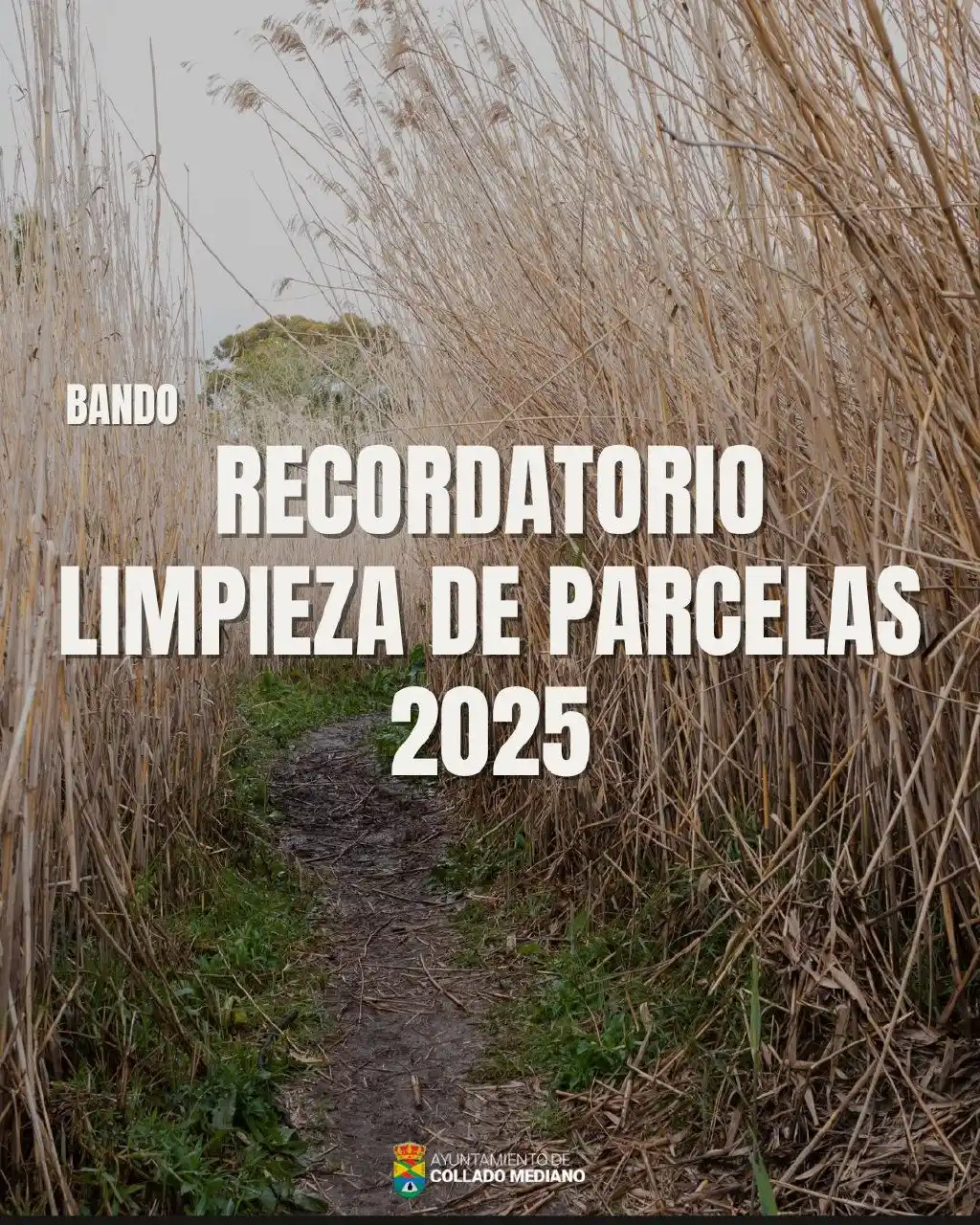 Image from Información Collado Mediano: 📢 Recordatorio Importante 🧹 El Ayuntamiento ha emitido un bando par...