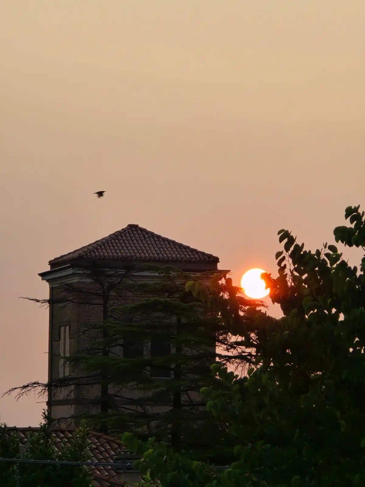 Image from Emilia Romagna Meteo: Risveglio gradevole questa mattina 😍  Vediamo i valori più bassi regi...