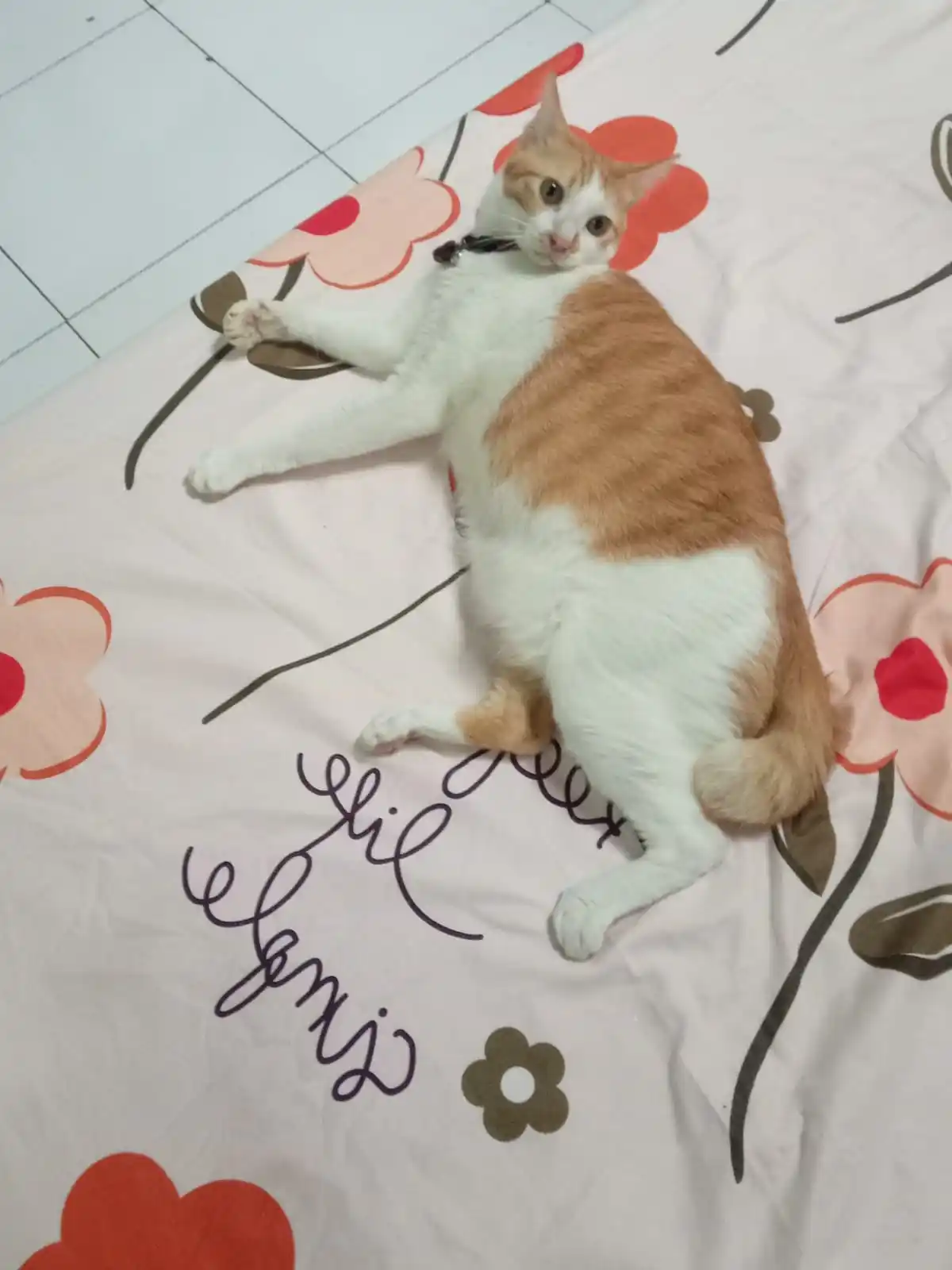 Image from Ano & Onu: Tadi anyo post ini di twt tapi anyo hapus soalnya nanti pasti ada yang...