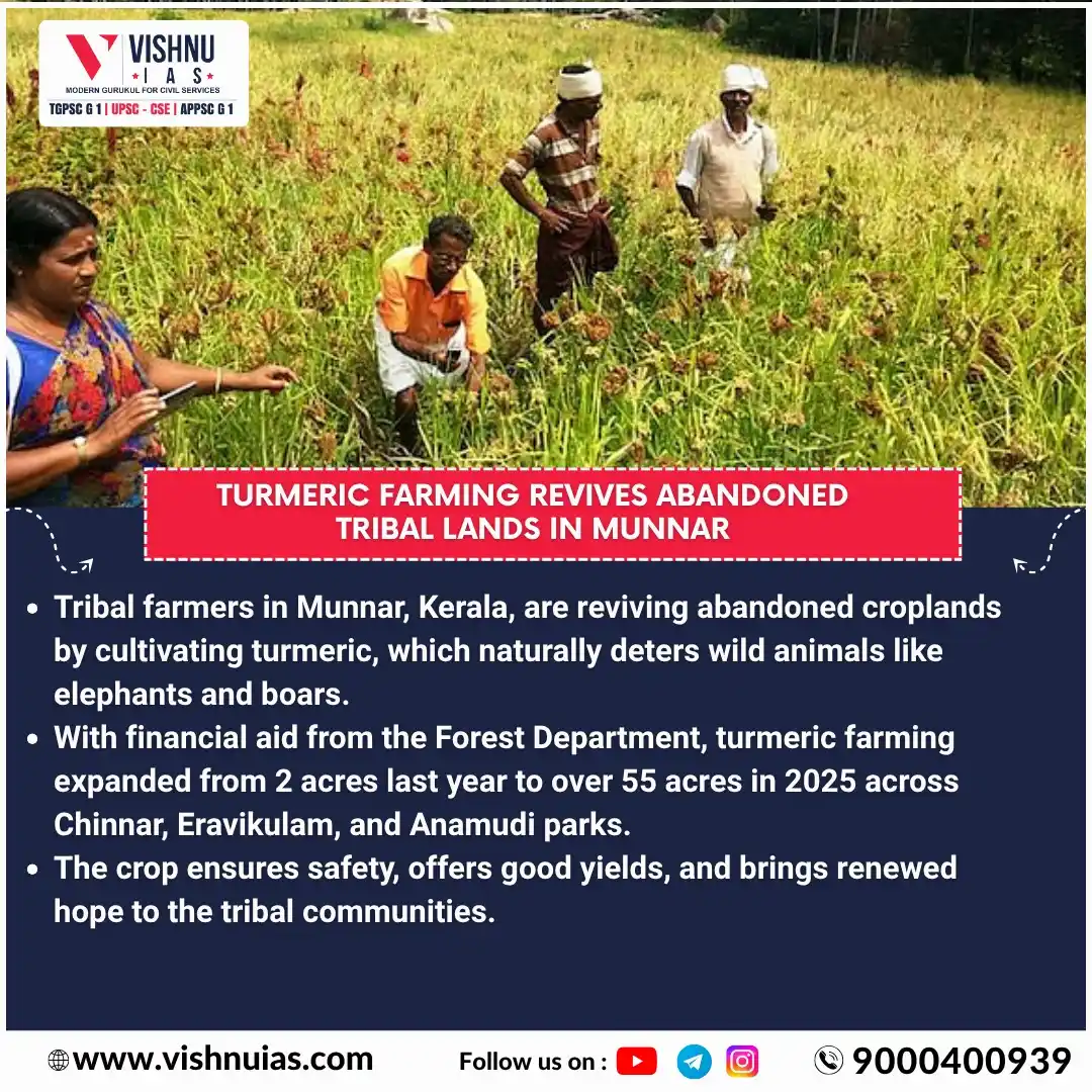 Image from VISHNU IAS: *Turmeric Farming Revives Abandoned Tribal Lands in Munnar*...