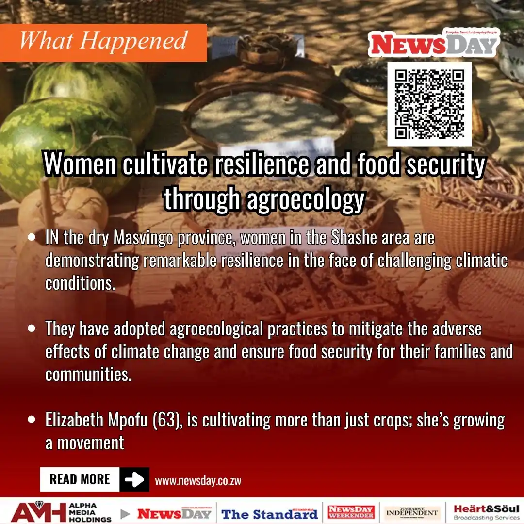 Image from NewsDay Zimbabwe: 🔴What Happened : Women cultivate resilience and food security through...