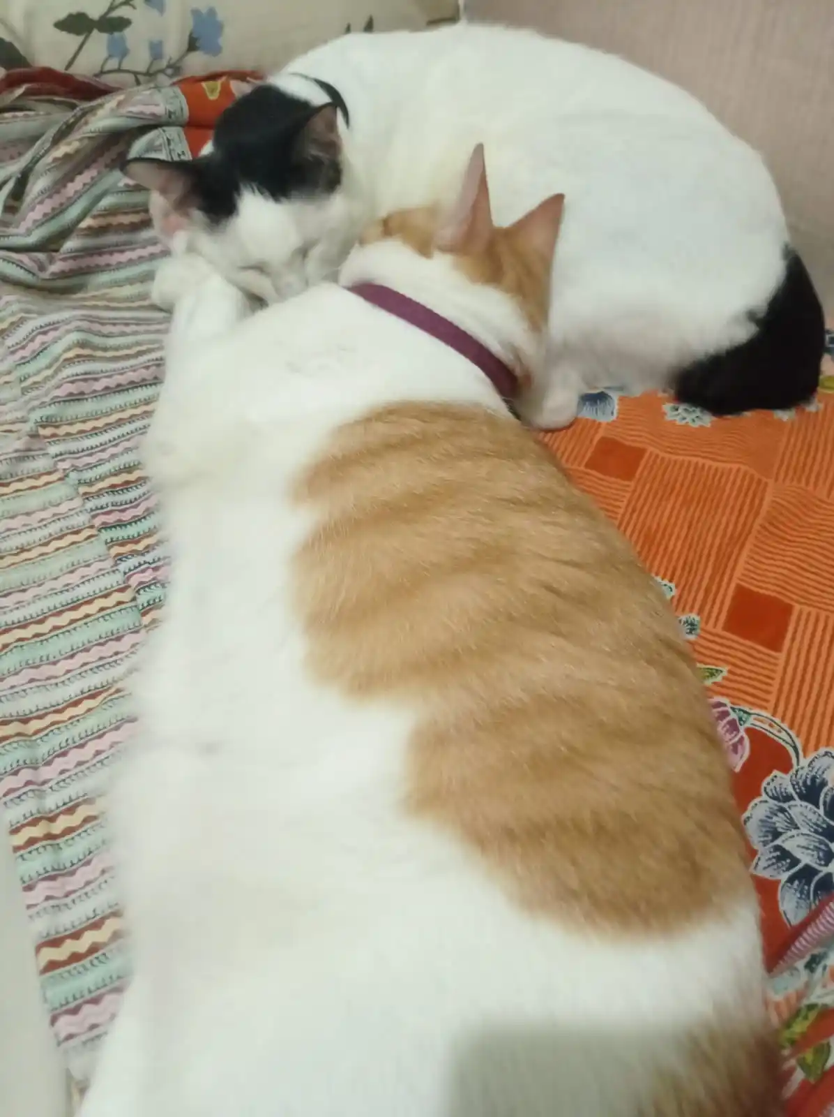 Image from Ano & Onu: Ya Allah pengen pegang tapi ak gpp iman ak kuat insyaAllah bismillah...