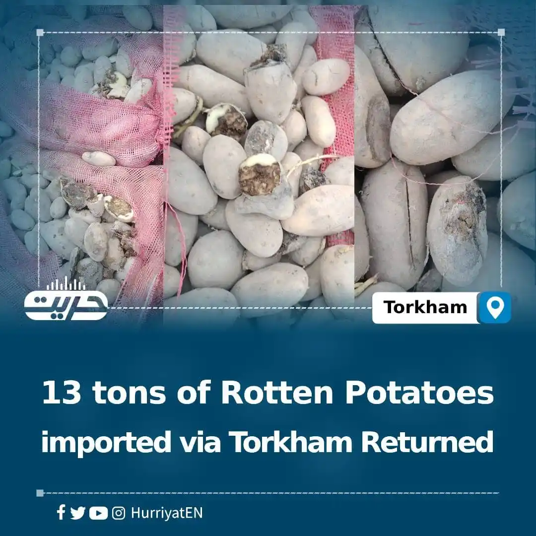 Image from Hurriyat Radio English: 13 tons of Rotten Potatoes imported via Torkham Returned Ajmal Subhan...