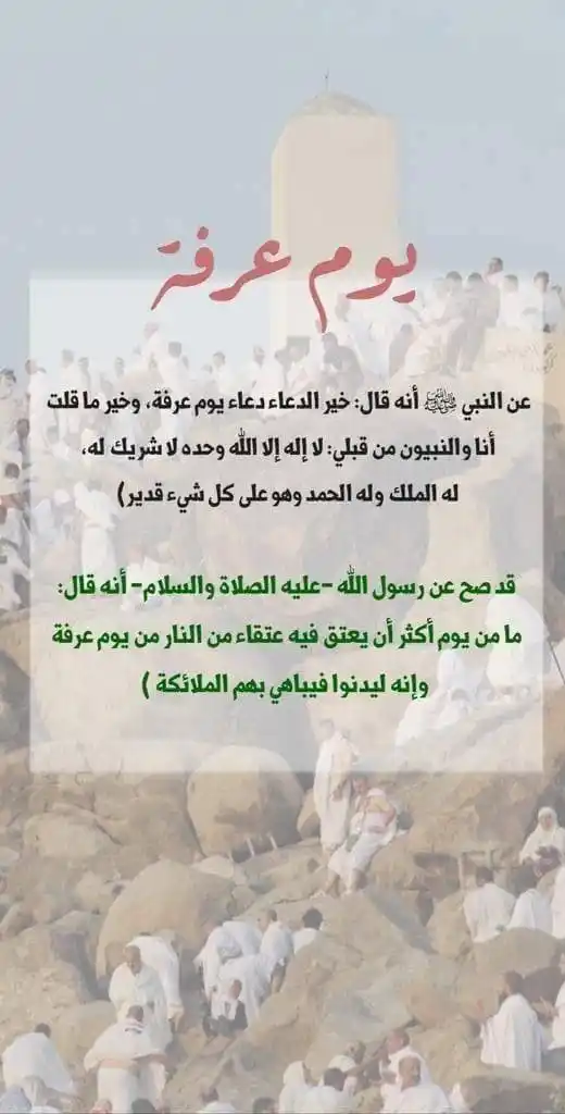 Image from محترف الفوركس العربي🌎: ⚪ ‏1.5 مليون حاج يقفون على ‎<a class="text-blue-500 hover:underline cu...