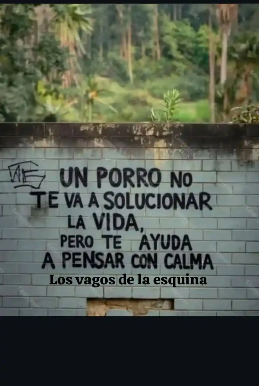 𝑳𝑶𝑺 𝑽𝑨𝑮𝑶𝑺 𝑫𝑬 𝑳𝑨 𝑬𝑺𝑸𝑼𝑰𝑵𝑨!! 🤑 ✌🏻 ⚡ post