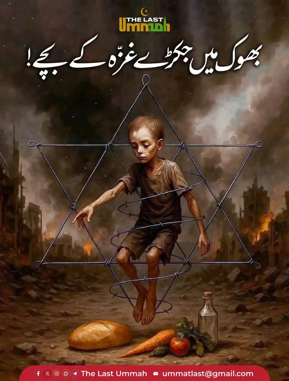 Image from اَرمُغانِ ھند 🇮🇳 Indian & Gaza Palestine Urdu اردو News WhatsApp Status Channel عزة فلسطين الجزيرة: * *اہل غـ𓂆ـــزة 🤝 کے تعاون کیلیے رابطہ کریں !* * _Admin📲_👇🏻 *htt...