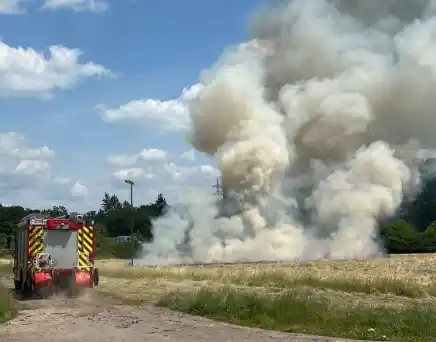 Image from Blaulichtreport Saarland: Aktuell: Flächenbrand an der Autobahn bei Merzig! Foto: Leserreporter...