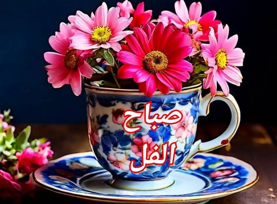 Image from ليَطْمَئِنَّ قَلْبِي🌷🤍.: « ''إنّ جمال الروح هو الشيء الوحيـد الذي لم يستطع الزمن أن ينال منه...