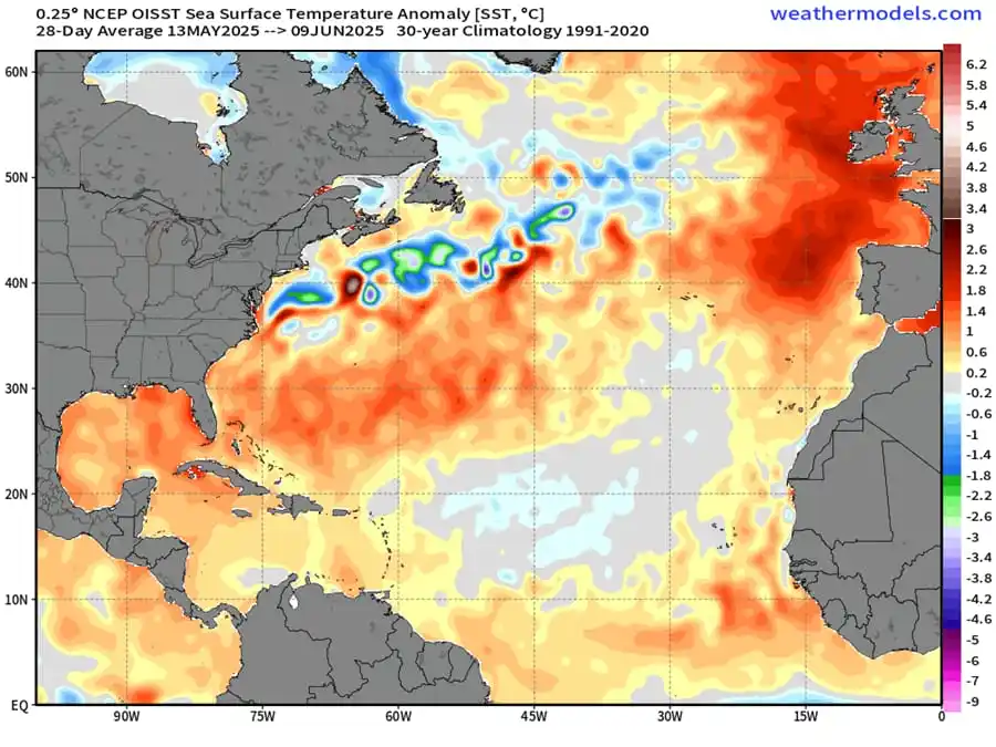 Image from Bajan Fire Fighters' Network: Atlantic seasonal <a class="text-blue-500 hover:underline cursor-point...