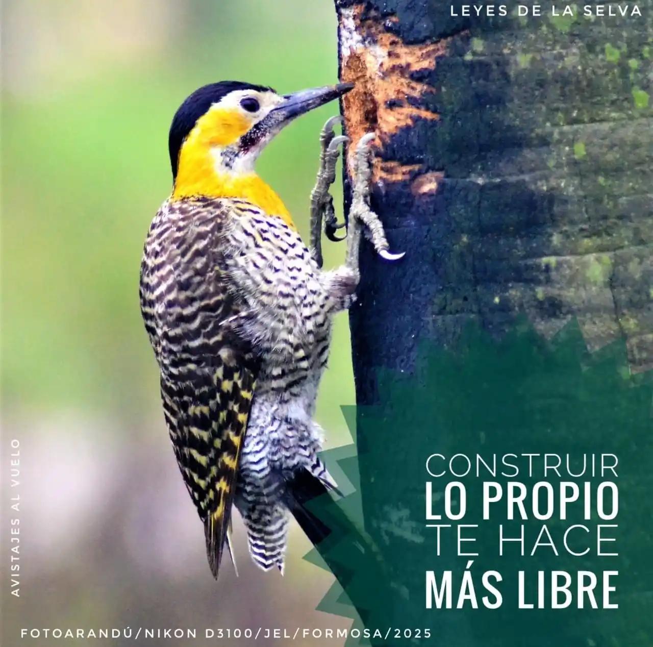 Image from RELATOS☕🧉RESEÑAS: [ `FOTOARANDÚ + EFEMERIDES DEL FUNDAMENTO`]✍🏼🧉  [ `13 DE JUNIO`] _"*...