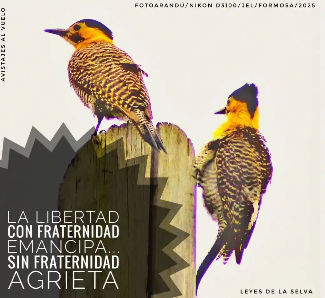 Image from RELATOS☕🧉RESEÑAS: [ `FOTOARANDÚ + EFEMERIDES FUNDANTES`]✍🏼🧉  [ `18 DE JUNIO`] _"*Muy b...