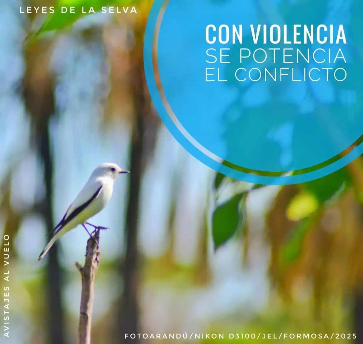 Image from RELATOS☕🧉RESEÑAS: [ `FOTOARANDÚ + EFEMERIDES SOBERANAS`]✍🏼🧉  [ `14 DE JUNIO`] _"*Muy b...