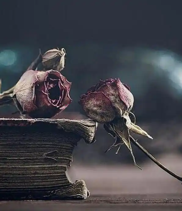 Image from ليَطْمَئِنَّ قَلْبِي🌷🤍.: حين تُجبَر المرأة على أن تكون قوية طوال الوقت . تتآكل أجزاء منها بصمت ...