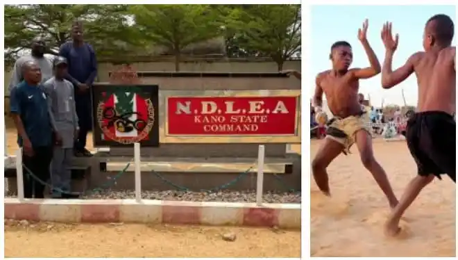 Image from PREMIUM TIMES HAUSA: KANO: NDLEA za ta hada kai da ƙungiyar 'yan dambe domin yaki da shan m...
