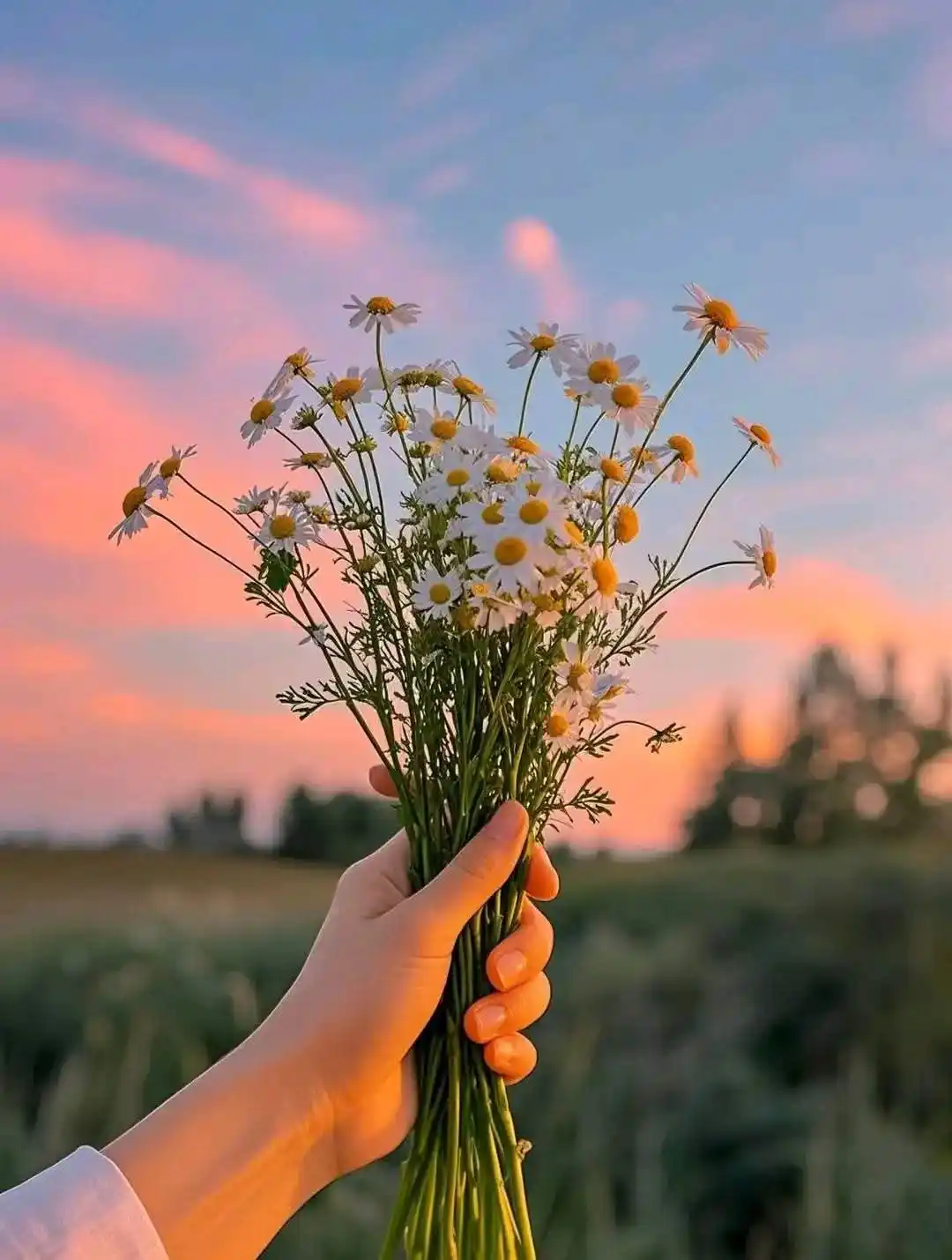 Image from *🦋⃟ٖٖٖٖٖٖٜ🌼*محْ͢بت❦︎ اْ͢لو❦︎داع🦋⃟ٖٖٖٖٖٖٜ🌼⃝࿐*: کبھی اجنبی، کبھی جان جاں 💙 کبھی دوریاں، کبھی پاس پاس کبھی دشمن جاں ک...