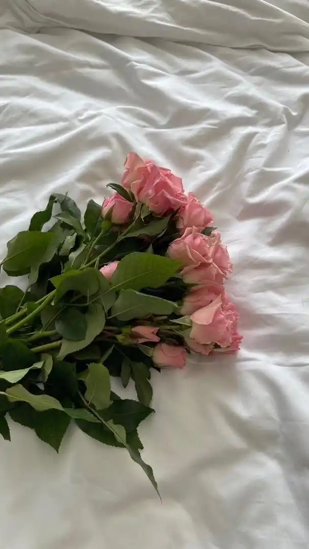 Image from ليَطْمَئِنَّ قَلْبِي🌷🤍.: "وڪلما حمدتُ ربّي وجدتُ منه ما يُرضيني، الحمد للّـه ربّ العالمين🎀✨"....