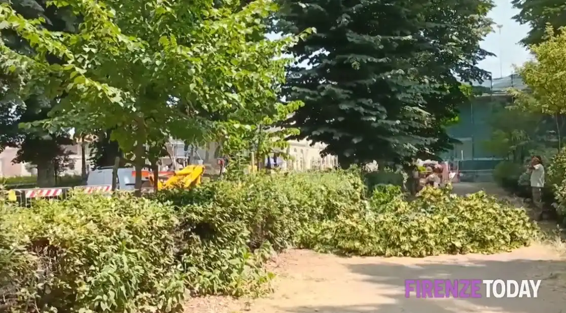 Image from FirenzeToday: Parco delle Cascine, cade un altro ramo di albero https://cityne.ws/S...