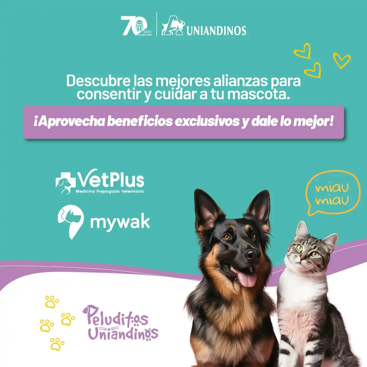 Image from Uniandinos Oficial 💛: 🐾 Porque ellos también son parte de nuestra red 💛 En Uniandinos, cui...