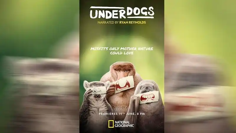 Image from Indiantelevision.com: Ryan Reynolds backs the beasts no one bets on in National Geographic's...