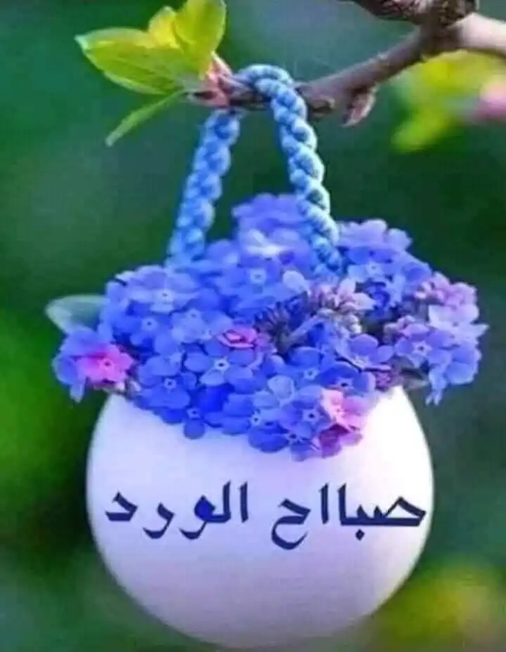 Image from ليَطْمَئِنَّ قَلْبِي🌷🤍.: صباح الخيرات لكل إنسان رحلته في هذه الحياة ،،،ولا يصل إلى النور ،،، إل...