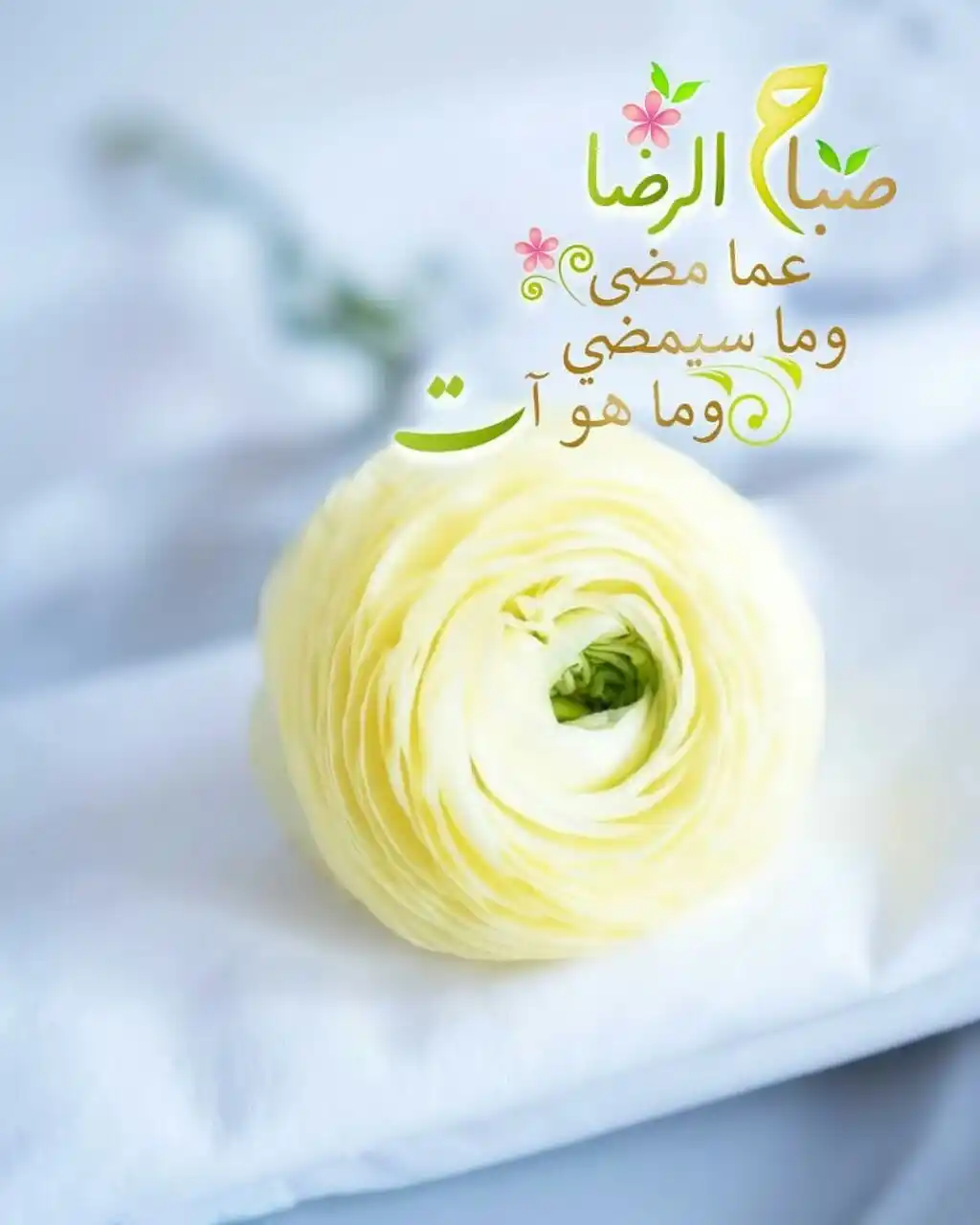 Image from ♥️ قنــــاة نــدويــات ♥️: ••• 🌻🍃 ••• تعـودوا على الإمتنان وعلى استشعار النعم التي تحيطكــم مـ...