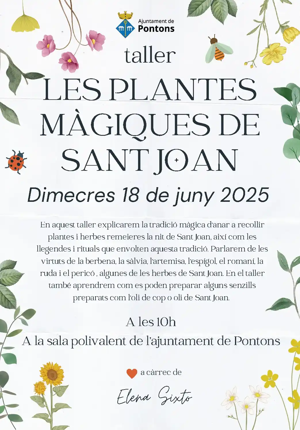 Image from Ajuntament de Pontons: 🌿 *Taller: Les plantes màgiques de Sant Joan* 📅 Dimecres 18 de juny...