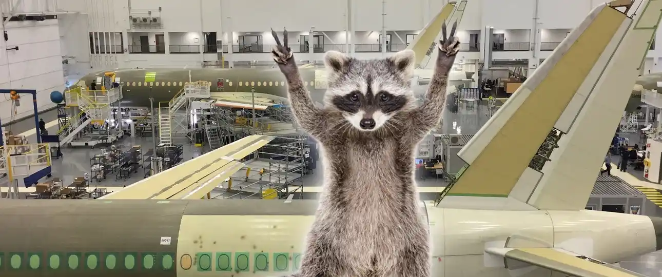 Image from aeroTELEGRAPH News: *Waschbärfamilie schleicht sich in Airbus-Werk und knabbert an A220* …...
