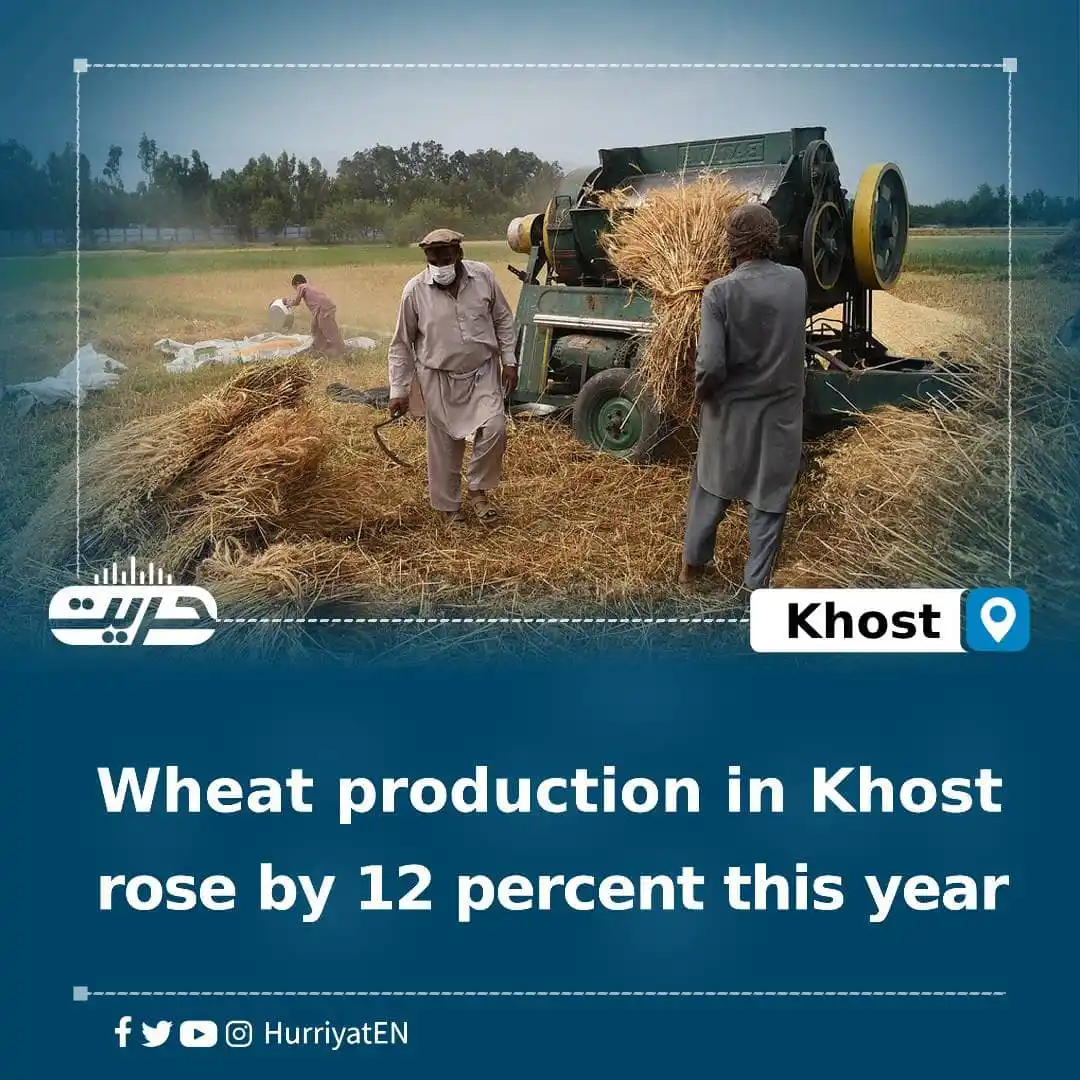 Image from Hurriyat Radio English: Wheat production in Khost rose by 12 percent this year The Khost Depa...