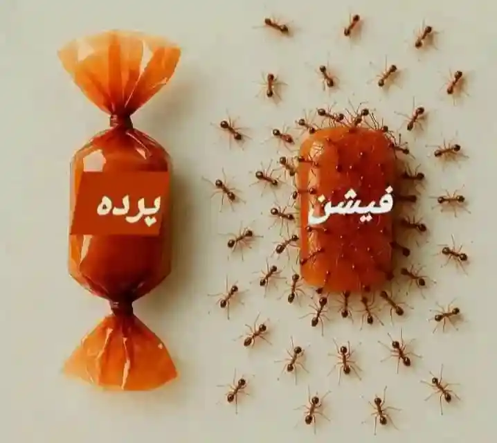 Image from ❤️•°سنہری باتیں°•❤️: زندگی میں پردہ اور احتیاط ضروری ہے، جیسے یہ ٹافی۔ جو چیز محفوظ ہے، وہ ...