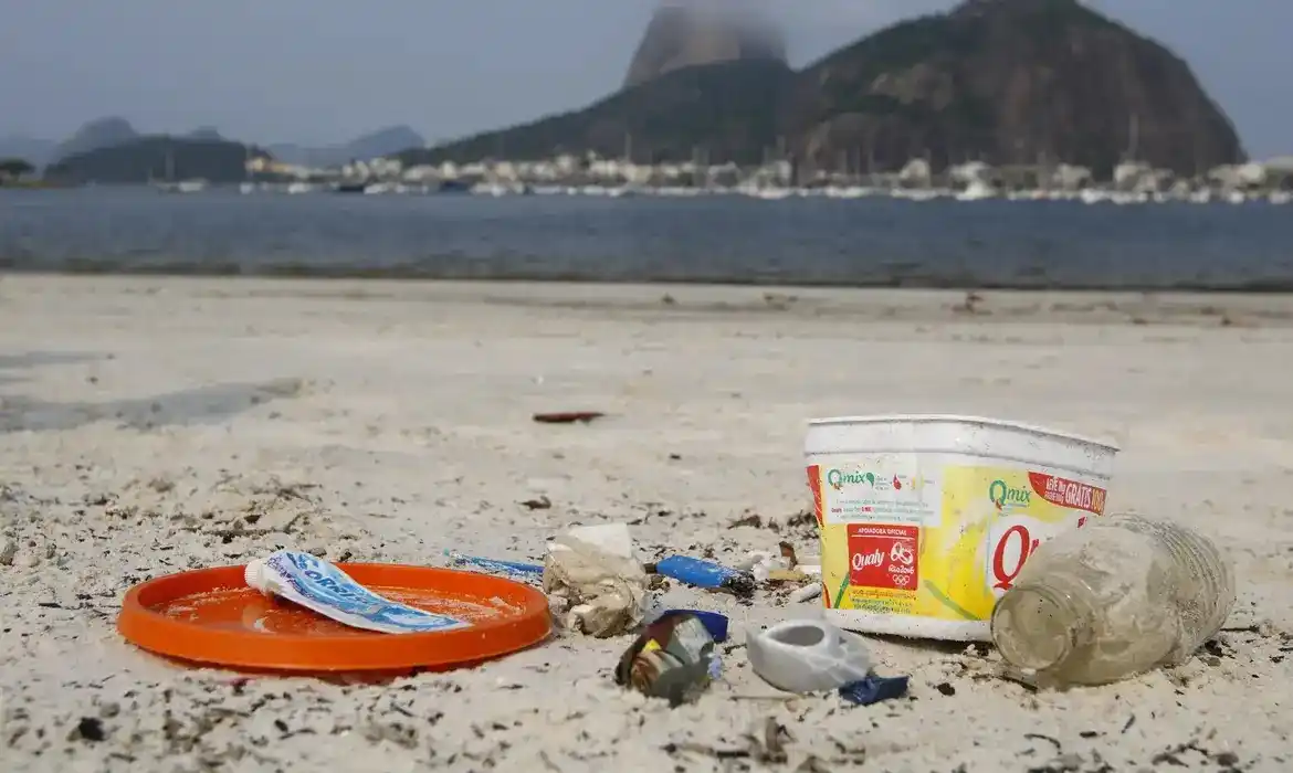 Image from Brasil 61: 1️⃣ *MEIO AMBIENTE* *Dia Mundial do Meio Ambiente alerta para urgênci...