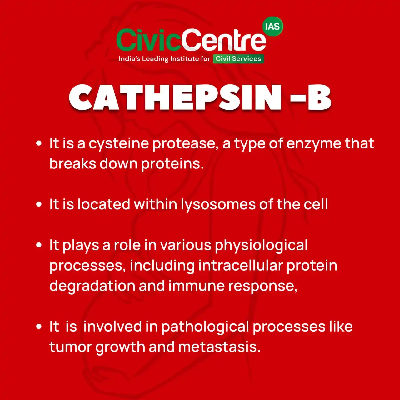 Image from CivicCentre IAS Academy: *CATHEPSIN B — The Double-Edged Sword Inside Your Cells! | CivicCentre...