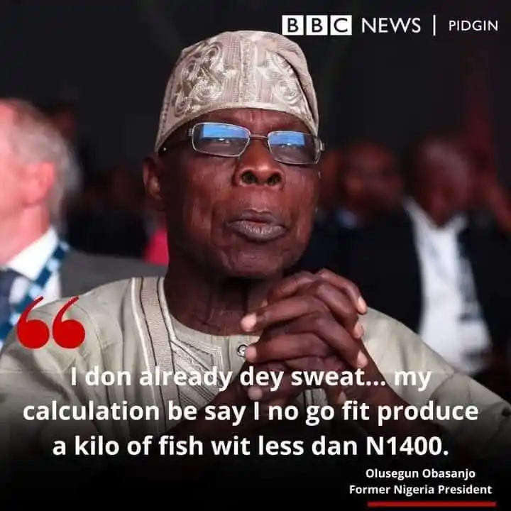 Image from PRODAVE INTEGRATED FARMS AND SERVICES LIMITED (CATFISHPRENEUR): *ENTREPRENEURS ON FIRE 🔥; A Call to Farming.* Entrepreneurship invol...