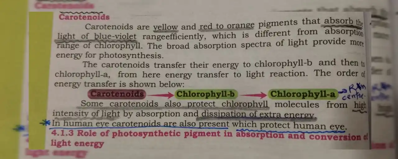 Image from MDCAT Prep Master: ___Explaintion Biology Chapter (4) Bioenergetics _Topic Caroteno...