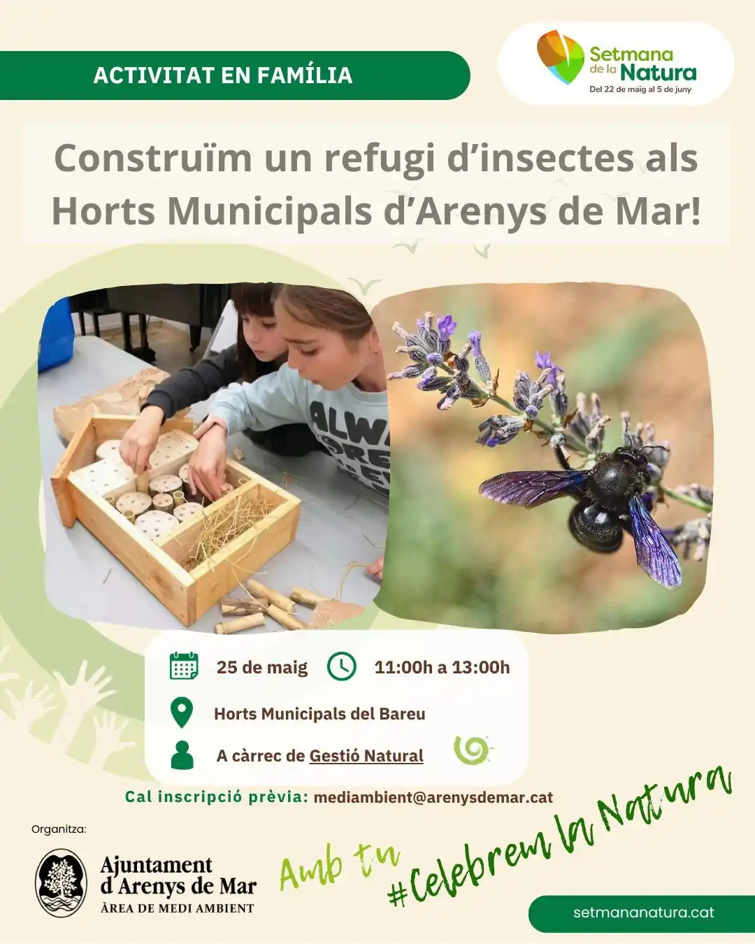 Image from Ajuntament Arenys de Mar: ℹ️ Aquest diumenge 25 de maig, vine a construir un refugi d'insectes a...