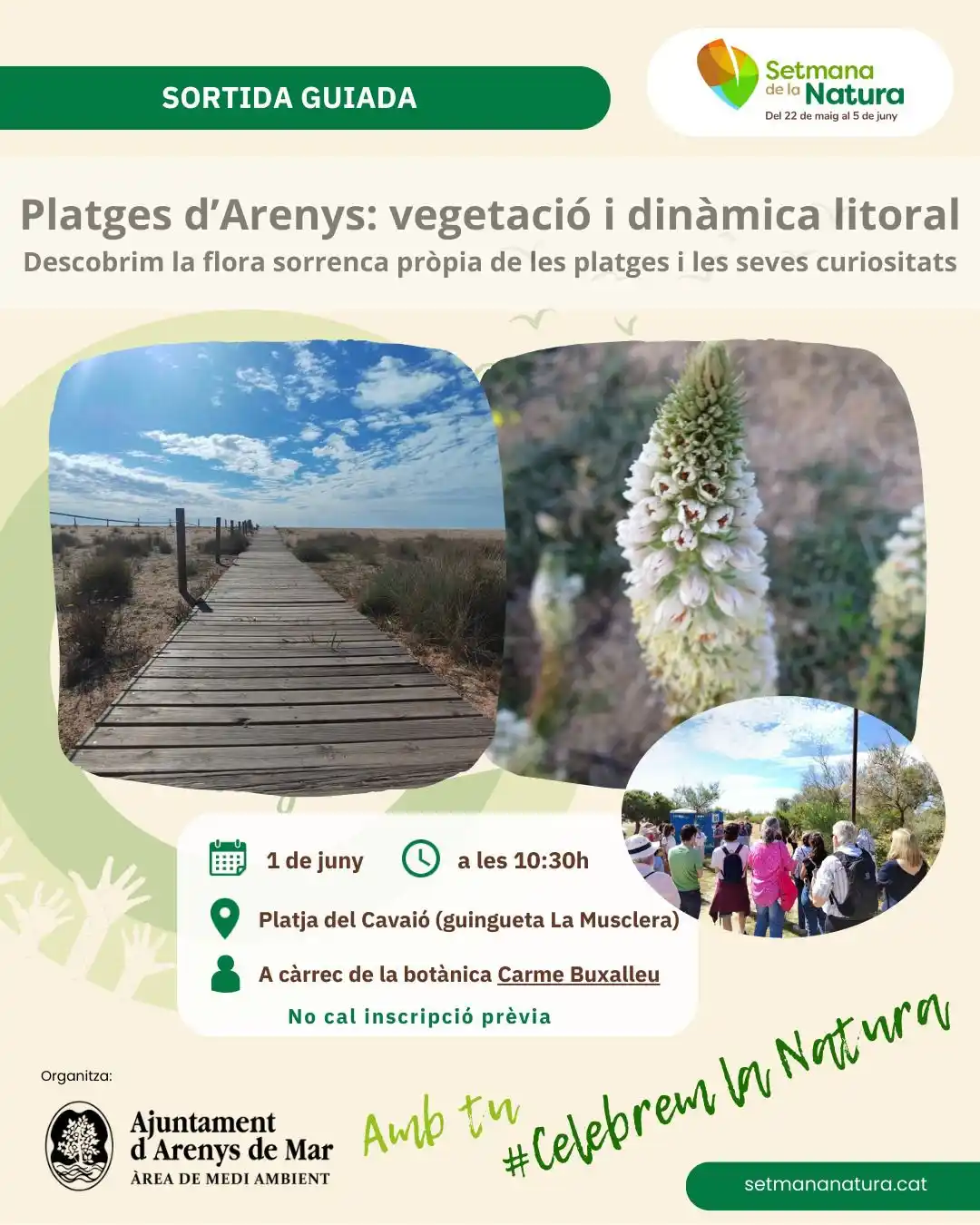 Image from Ajuntament Arenys de Mar: ℹ️ Descobreix la flora de les platges d’Arenys aquest diumenge 1 de ju...